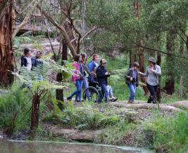 Wildlife Wonders guided walk 47