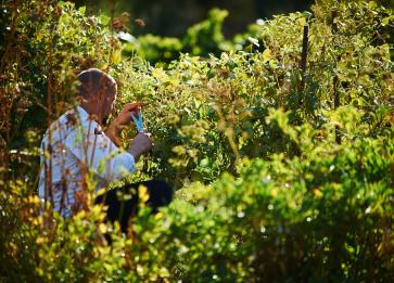 Brae Kitchen Garden