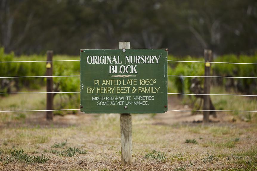 Bests Wines Original Nursery Block Photo By Marcus Thomson 2015