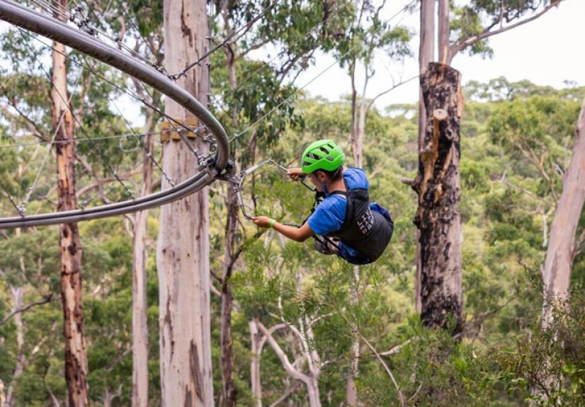 LIVE WIRE PARK 4 GREAT OCEAN ROAD 684x476