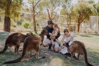 Ballarat Wildlife Park 